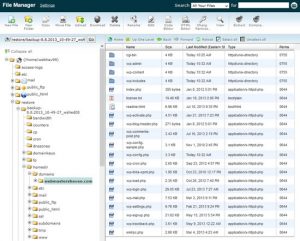 cpanel-file-manager-2